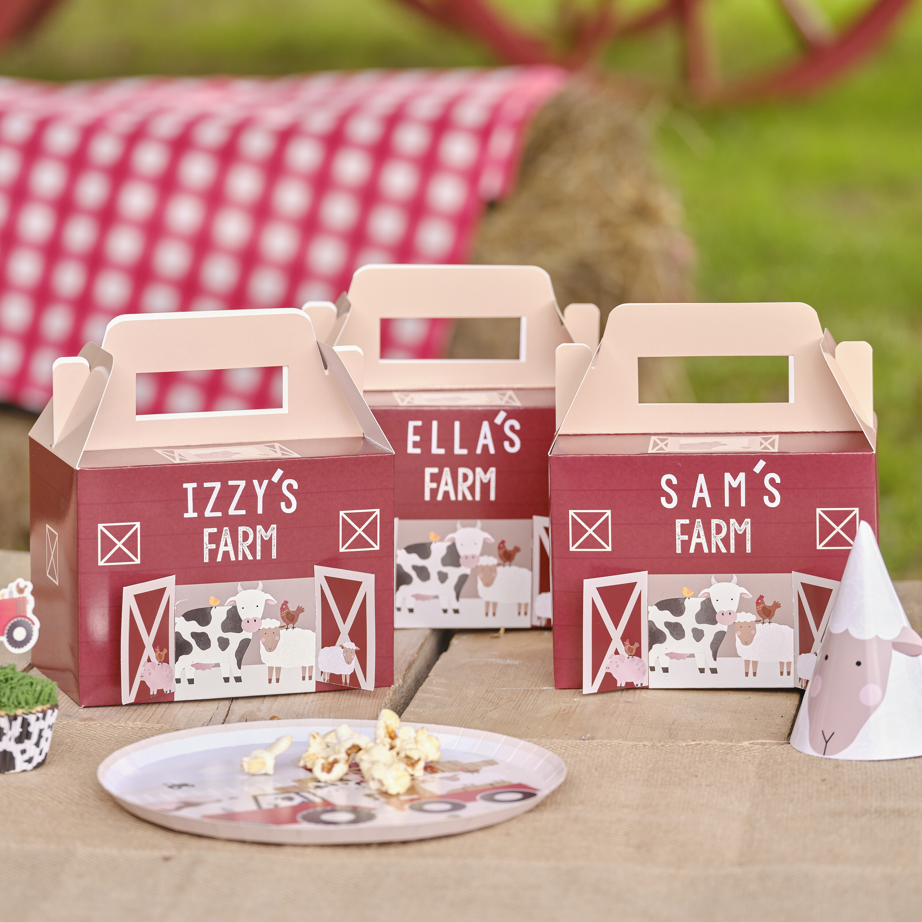 customisable-barn-party-box-ginger-ray